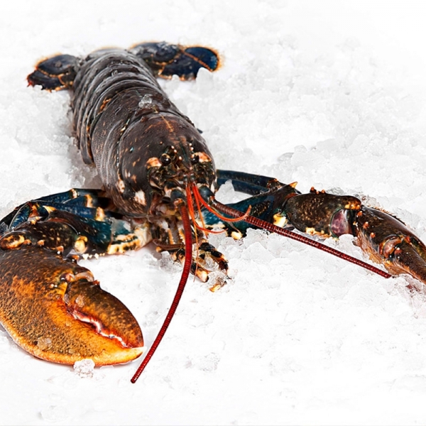 Mariscos - 33