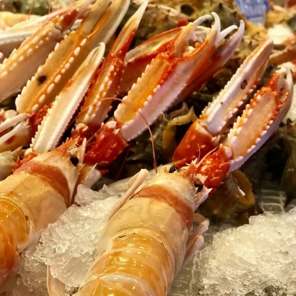 Mariscos - 139